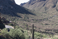 Picture Rocks Road Bike Ride – Tucson, AZ
