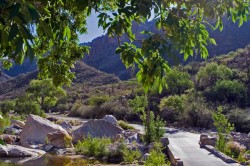 Sabino Canyon Biking – Tucson, AZ