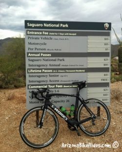 Saguaro National Park Biking – Tucson, Arizona