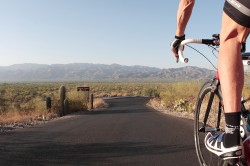 Saguaro National Park Biking – Tucson, Arizona