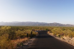 Saguaro National Park Biking – Tucson, Arizona