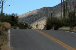 Saguaro National Park Biking – Tucson, Arizona