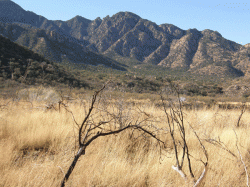 Madera Canyon Bike Ride – Tucson, Arizona