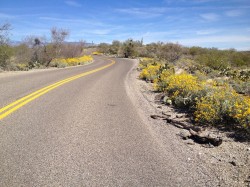 Saguaro National Park Biking – Tucson, Arizona