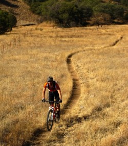 Kentucky Camp Mountain Bike Trail – Southern, Arizona