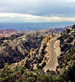 Mt Lemmon Road Bike Ride – Tucson, Arizona