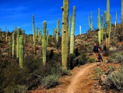 Sweetwater Preserve, Tucson Arizona