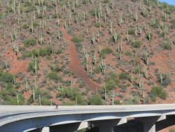Bike Ride Arizona: Tonto Basin