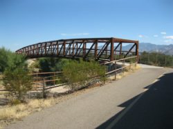 “The Loop” Bike Ride Along the Canada del Oro Wash